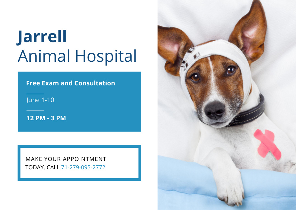 Animal Hospital Ad with Sick Dog with Bandages on His Head Lying on Bed Flyer A6 Horizontal tervezősablon