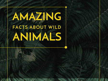 Modèle de visuel Amazing facts about wild animals - Presentation