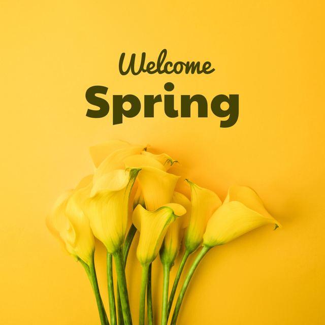 Congratulations on Coming of Spring with Yellow Flowers Instagram Πρότυπο σχεδίασης