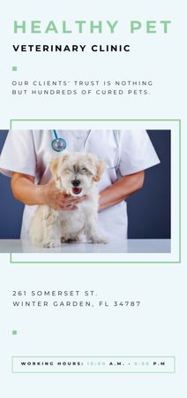 Vet Clinic Ad Doctor Holding Dog Flyer DIN Large Design Template