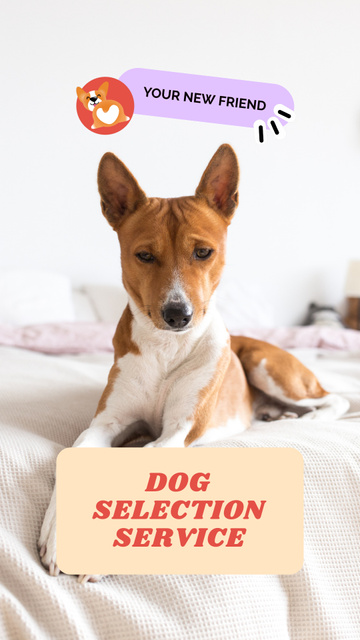 Platilla de diseño Expert Help In Dog Selection Service Instagram Video Story