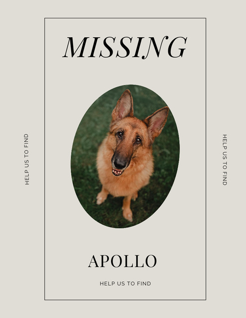 Eye Catching Ad about Missing Nice Dog Poster 8.5x11in Design Template