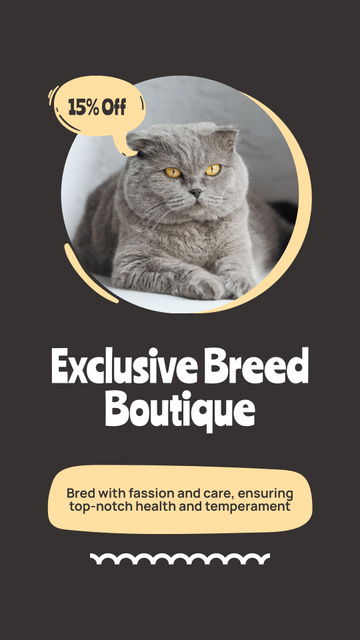 Designvorlage Exclusive Cat Breeds für Instagram Story