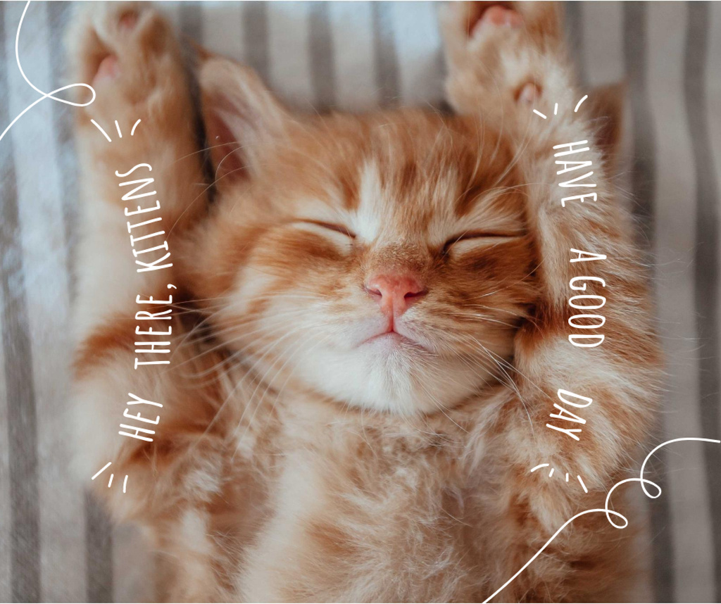 Cute Cat with Good Morning message Facebookデザインテンプレート