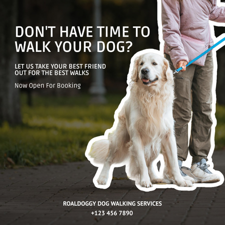 Dog Walking Service Offer with Cute Labrador Instagram AD tervezősablon