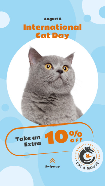 Designvorlage Cat Day Sale Cute Grey Shorthair Cat für Instagram Story