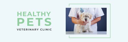 Pet in veterinary clinic Email header Design Template