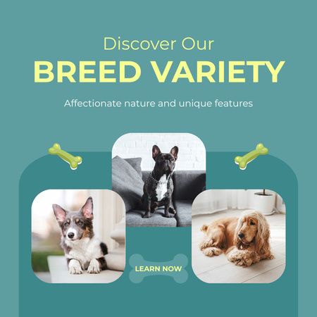 Pet Breeder Offering Variety Of Dog Breeds Animated Post Design Template