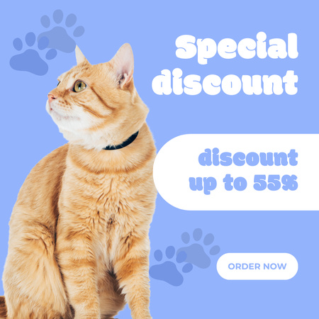 Special Discount Announcement for Pet Supplies Instagram Design Template