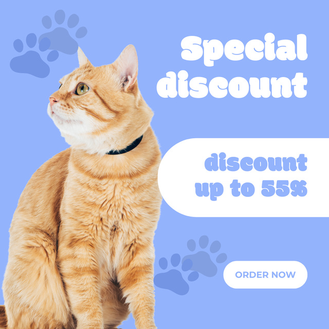 Special Discount Announcement for Pet Supplies Instagram Modelo de Design