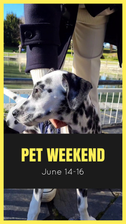 Lovely Festivities During Weekend With Pets TikTok Video Design Template