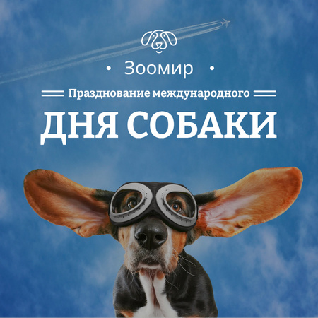 Забавный питомец в очках в день собаки Instagram AD – шаблон для дизайна