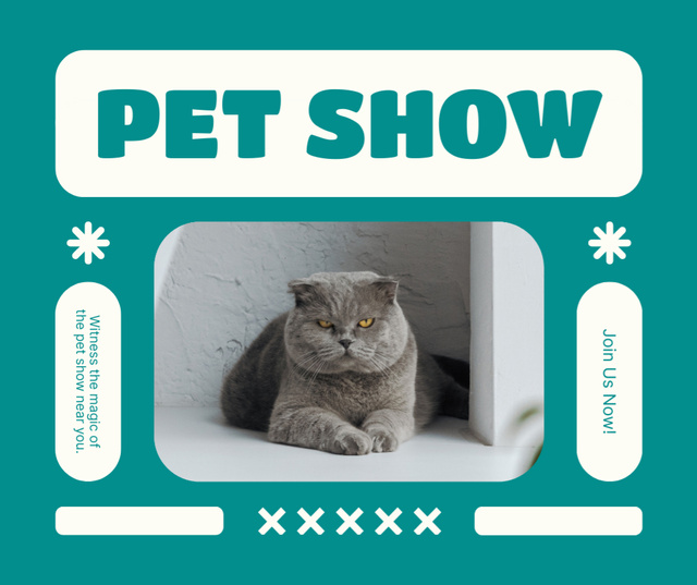Pet Show Announcement on Blue Green Facebook Modelo de Design