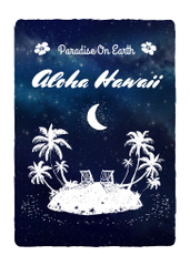 Hawaii Island Illustration Under Night Sky