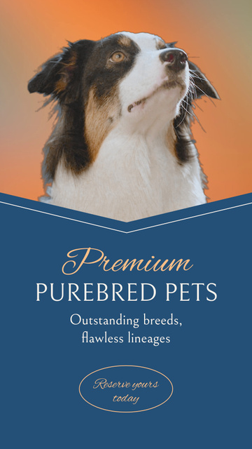 Premium Level Purebred Pets Promotion Instagram Video Story Design Template