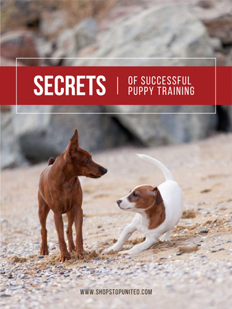Modèle de visuel Pets Behavior Two Dogs on a Walk - Poster US