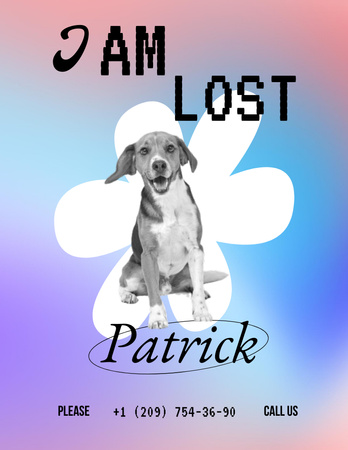 Announcement about Missing Dog Flyer 8.5x11in Design Template