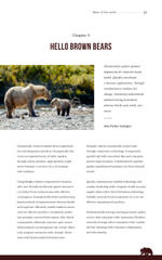 Encyclopedia of Bear Species of World