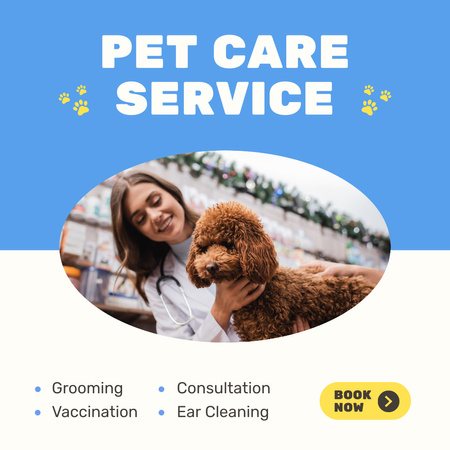 Pet Care Service With Consultation And Vaccination Instagram AD Design Template