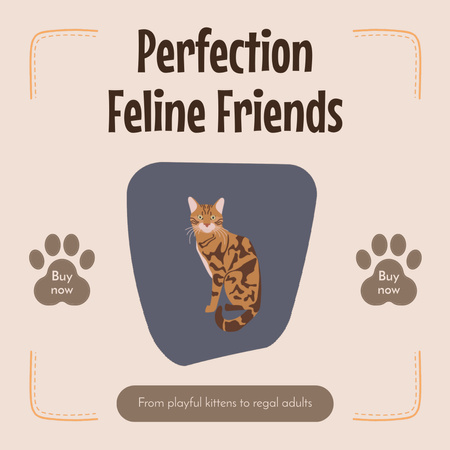 Perfect Feline Friends Promotion Animated Post Design Template