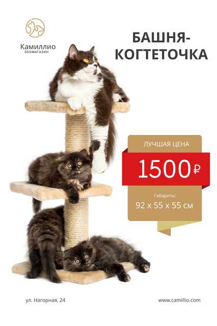 Pet Shop Offer with Cats Resting on Tower Pinterest Design Template