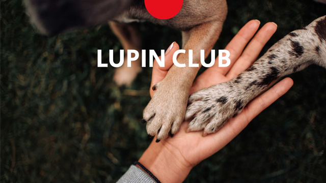 Szablon projektu Dog Club promotion Presentation Wide