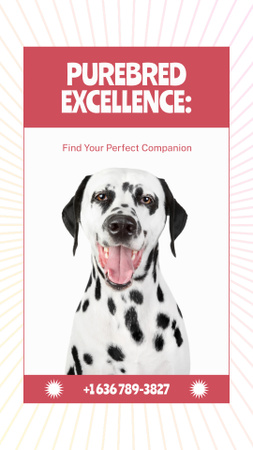 Perfect Purebred Dog Companion Offer Instagram Video Story Design Template