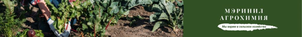 Agrochemicals Ad Farmer Harvesting Vegetables Leaderboard Šablona návrhu