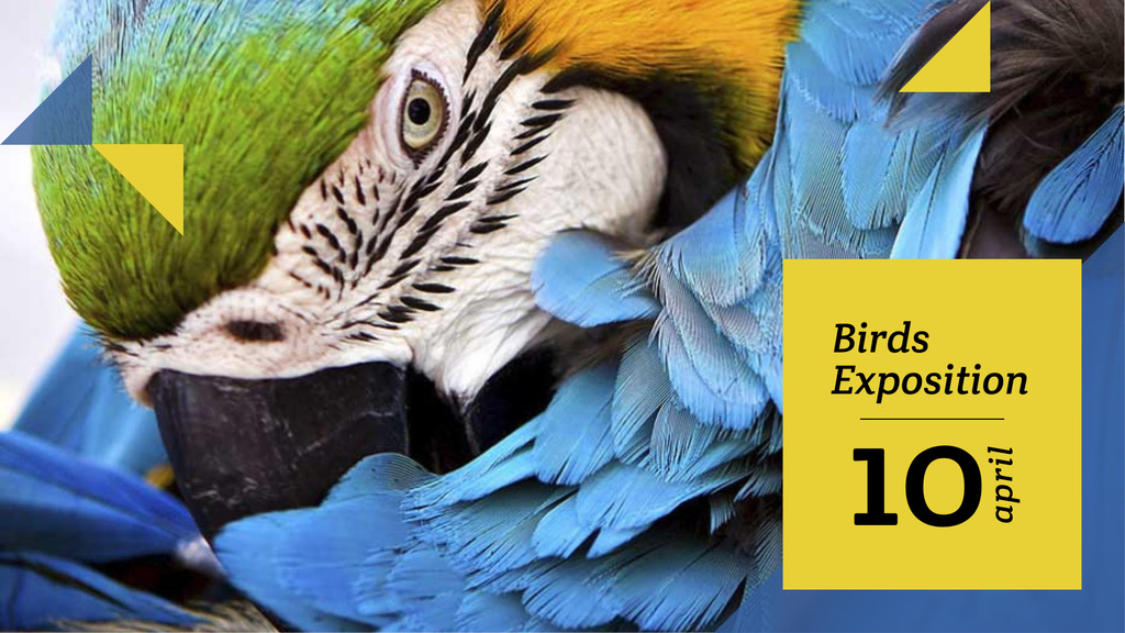 Wildlife Birds Facts with Blue Macaw Parrot FB event cover Modelo de Design