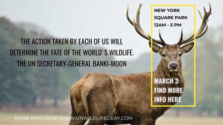 Eco Event announcement with Wild Deer Title Design Template