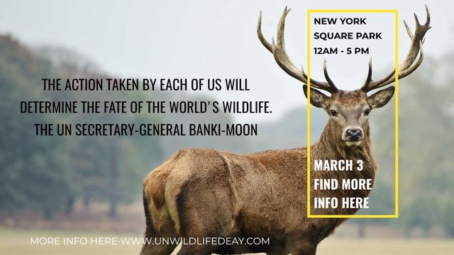Eco Event announcement with Wild Deer Title Modelo de Design