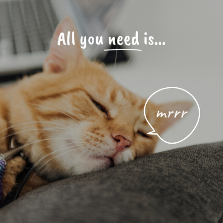 Plantilla de diseño de lindo durmiendo gato Instagram 