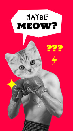 boxer engraçado com cabeça de gato Instagram Video Story Modelo de Design