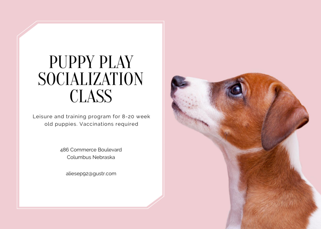 Modèle de visuel Young Dog Socialization Course And Trainings Program Offer - Flyer 5x7in Horizontal