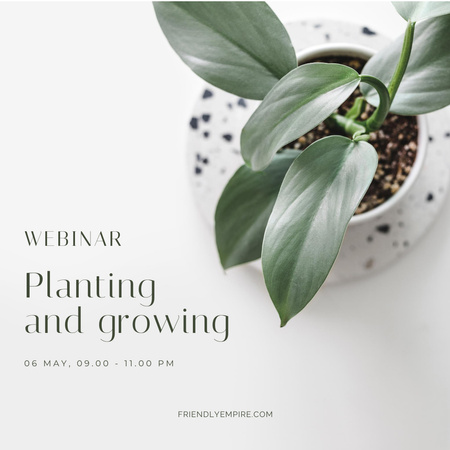 Webinar on Planting and Growing Flowers Instagram Design Template