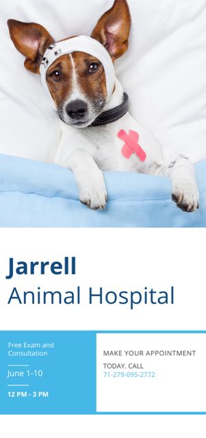 Animal Hospital Ad with Cute Injured Dog Flyer DIN Large Πρότυπο σχεδίασης