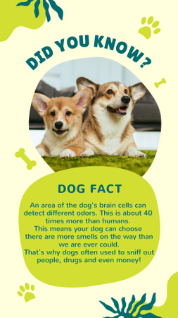 Dog Facts with Funny Puppies Instagram Story Design Template