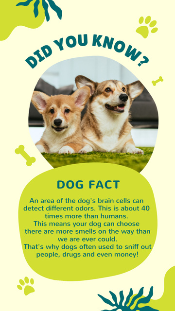 Dog Facts with Funny Puppies Instagram Story Šablona návrhu