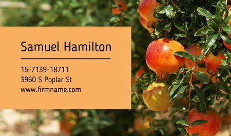 Pomegranate Farm Ad Business card Design Template