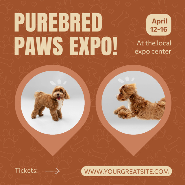 Local Purebred Expo Center Announcing Event Animated Post Πρότυπο σχεδίασης