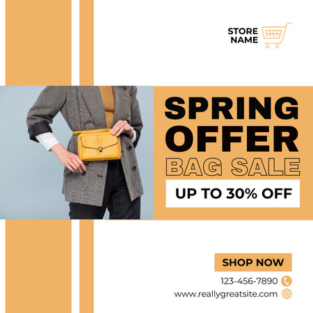 Promoção de primavera de bolsas elegantes Instagram AD Modelo de Design