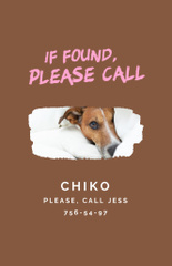 Lost Dog information