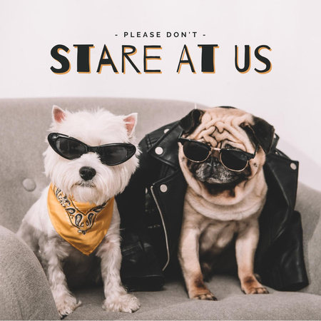 Designvorlage Funny Dogs in Cool Daring Outfits für Instagram