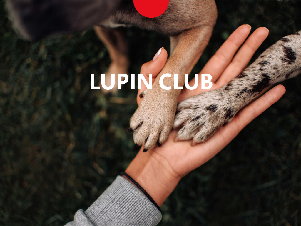 Platilla de diseño Pets Adoption Club Ad with Cute Dogs' Paws Presentation