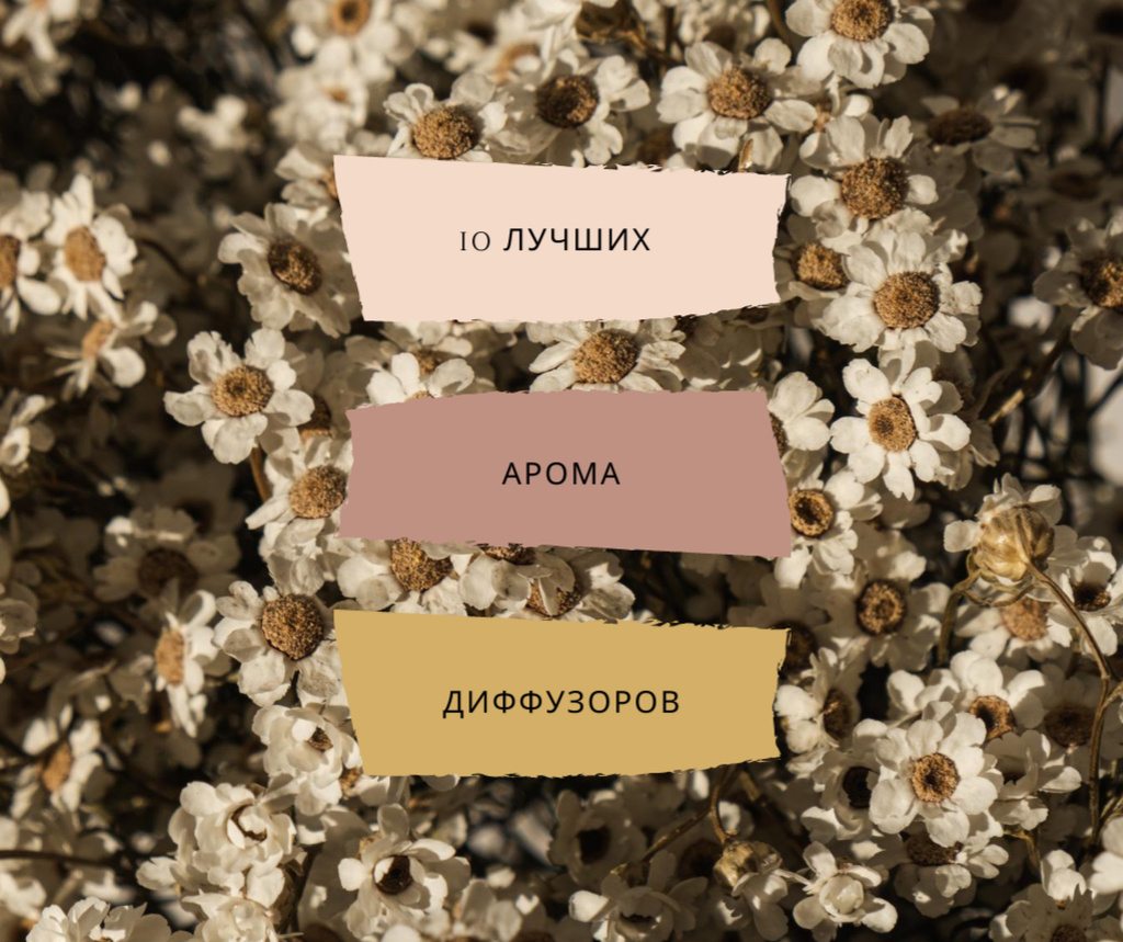 Designvorlage Aroma Diffusers ad on Blooming Flowers für Facebook