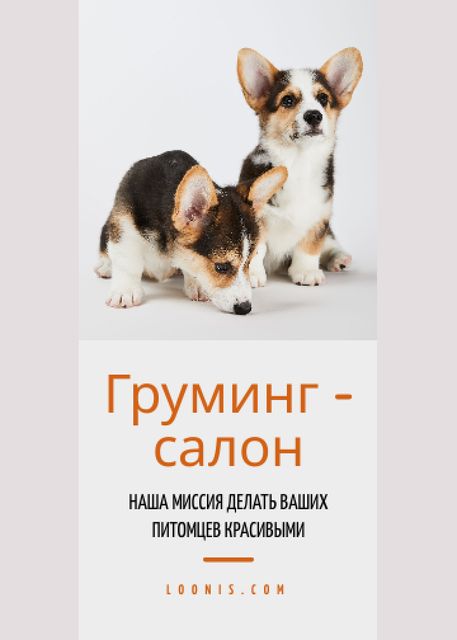 Grooming Salon Ad Cute Corgi Puppies Flayer – шаблон для дизайна