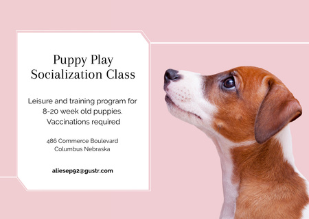 Plantilla de diseño de Puppy play socialization class Ad Card 