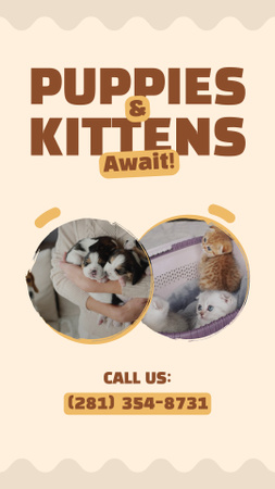 Adorable Puppies And Kittens Await New Pet Parents Instagram Video Story Design Template