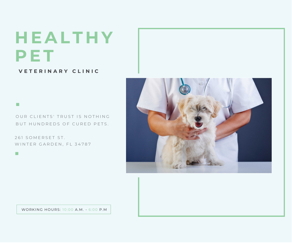 Designvorlage Healthy Pet Veterinary Clinic Offer für Large Rectangle