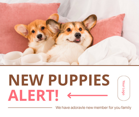 New Puppies of Purebred Corgi Facebook Design Template